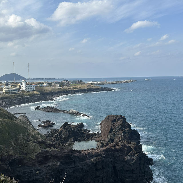 가장 빠르게 봄이 오는 제주 여행✈️3월 봄여행 추천🌼