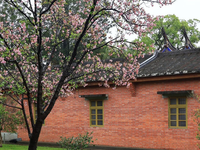 沉澱身心靈的好去處！大溪百年古蹟～齋明寺