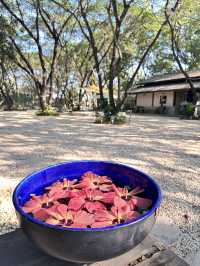 Biscuit Cafe Lampang : คาเฟ่ในแกลอรี่ เกาะคา ลำปาง