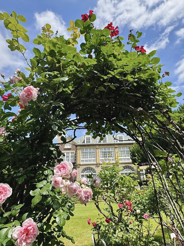 Spring Outing: Hatoyama Hall💐