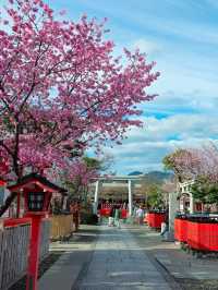 嵐山隱世賞樱秘境🌸車折神社⛩️