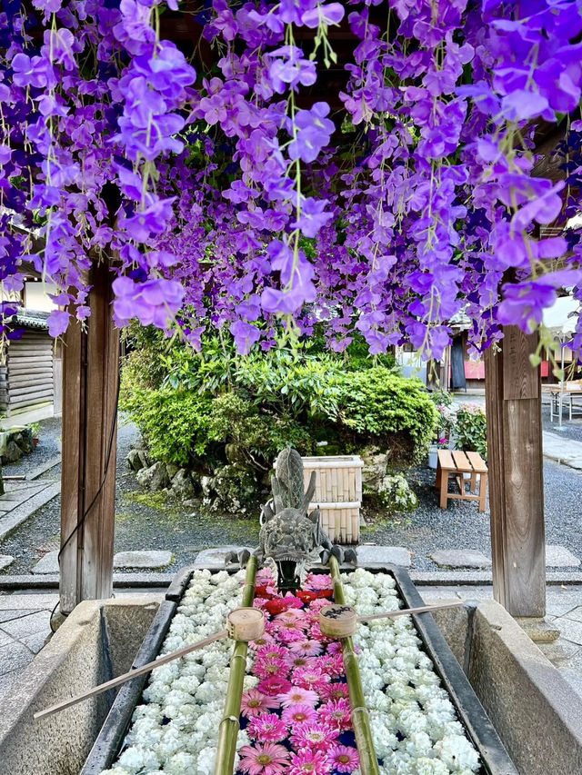 Spring Visit to Yanagidani Kannon Yōkoku-ji – A Hidden Floral Sanctuary in Kyoto