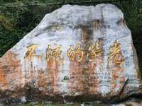 #明池國家森林遊樂區-宜蘭縣大同鄉