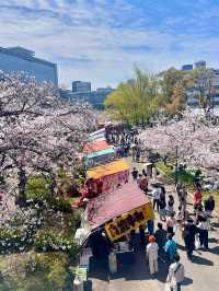Full Bloom! Spring at Kema Sakuranomiya Park