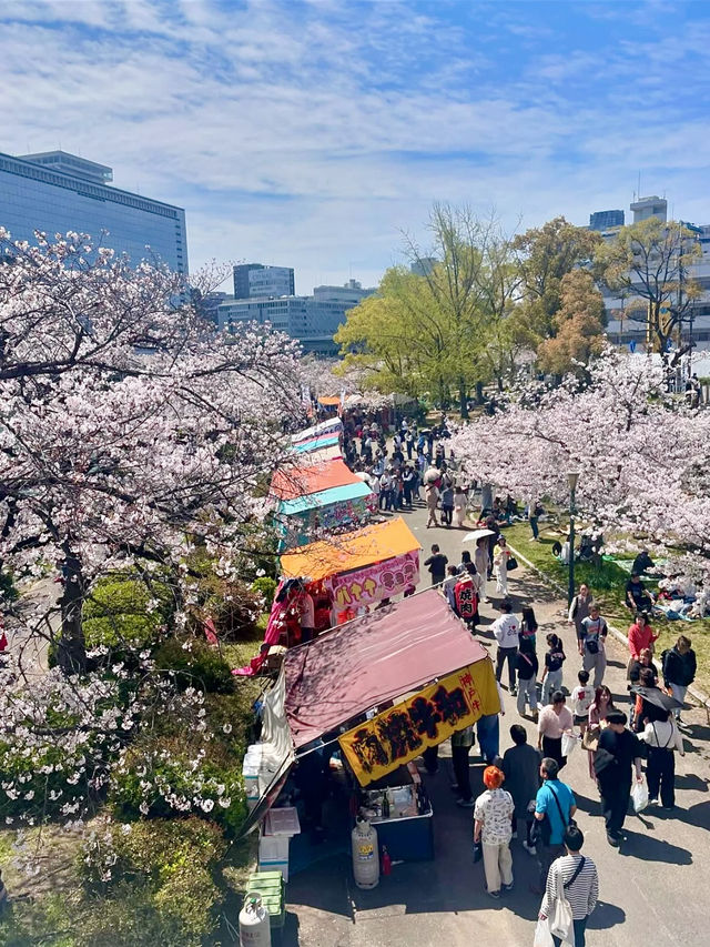 Full Bloom! Spring at Kema Sakuranomiya Park