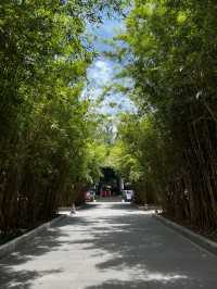 WANG JIANGLOU PARK