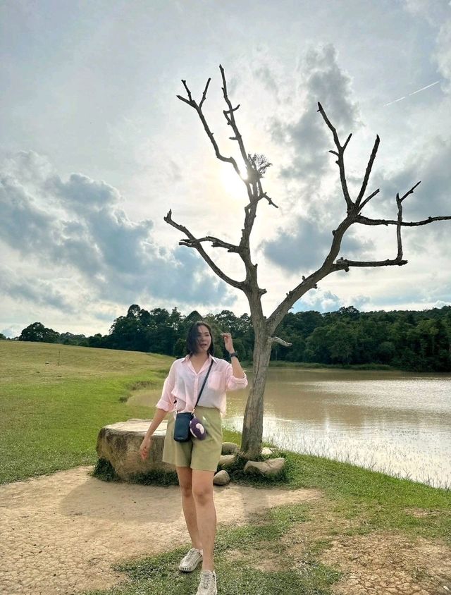 เขาใหญ่