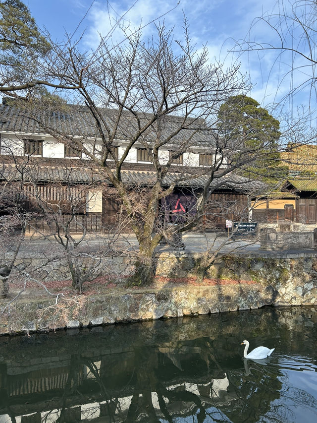 【岡山】風情ある蔵の街・倉敷美観地区