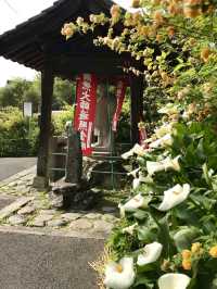 Spring at Eshin-in Temple🌼