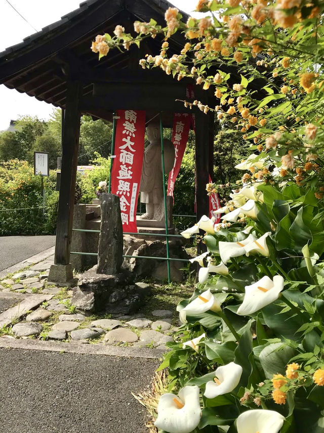 Spring at Eshin-in Temple🌼