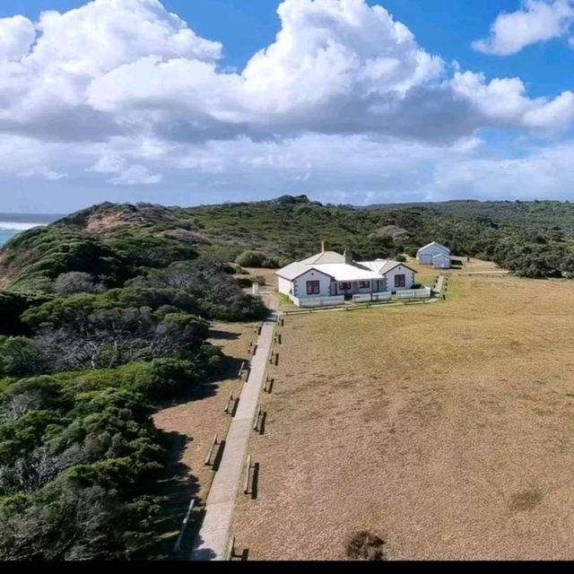 Guiding Light: A Journey to Cape Schanck Lighthouse