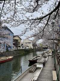 A must-do in Yanagawa 