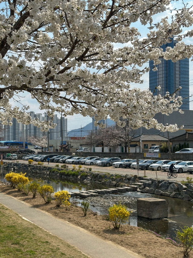 대전역 도보 10분 거리에서 끝내는 당일 여행