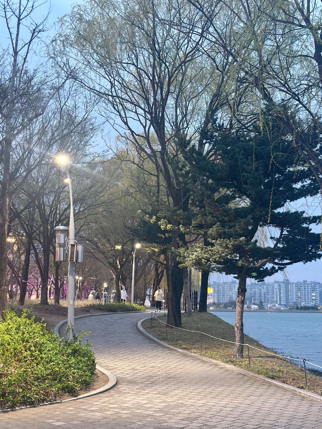 밤이 되면 더 화려해지는 대구의 랜드마크✨