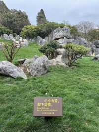Shilin amazing stone forest