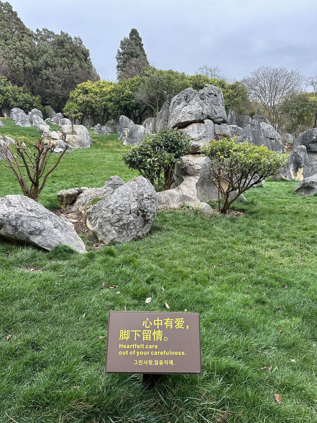 Shilin amazing stone forest