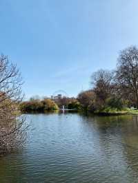 Cherry Blossoms, Tulips and Royal Views: St James’s Park in Spring