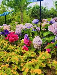 Wolmi Park Travel Review: Daytime Delights and Blooming Beauty 🏞️🌸🚶‍♀️