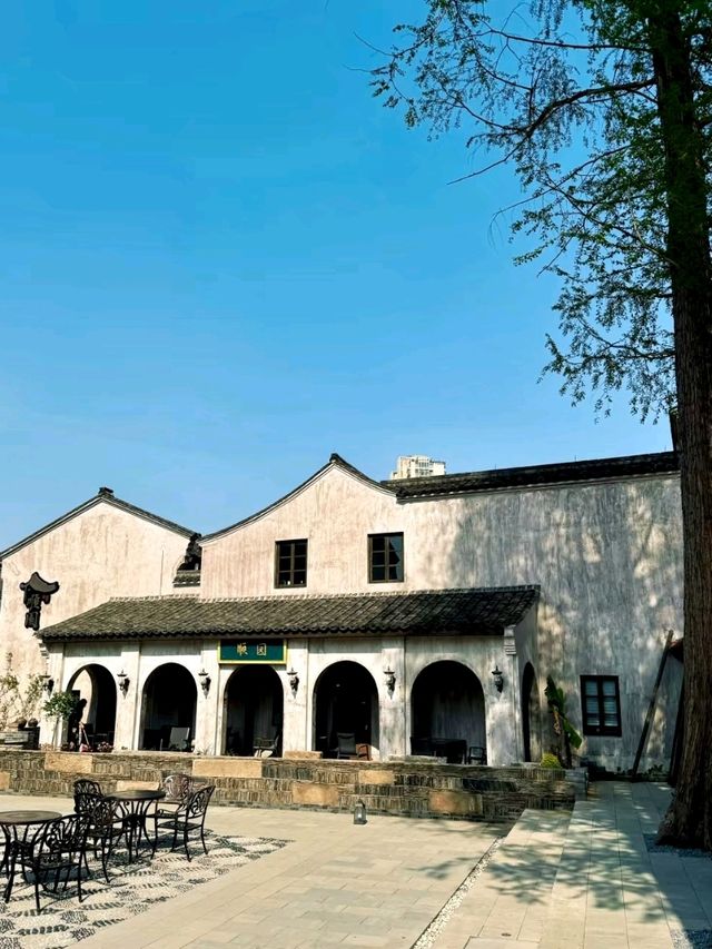 Dongqian Street: A Stroll Through Shengzhou’s Living Heritage