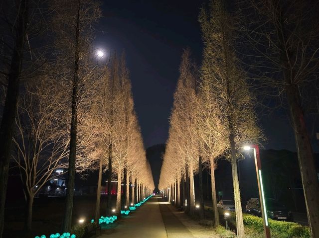 다시 이용하고 싶을껄요??
