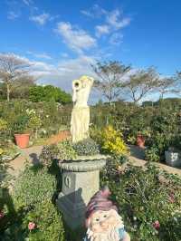 Taipei Rose Garden