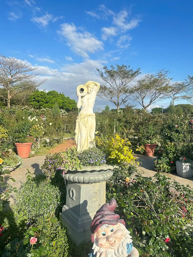Taipei Rose Garden