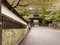【武家の町の歴史散歩🏯】飫肥城跡（おびじょうあと｜宮崎県日南市）