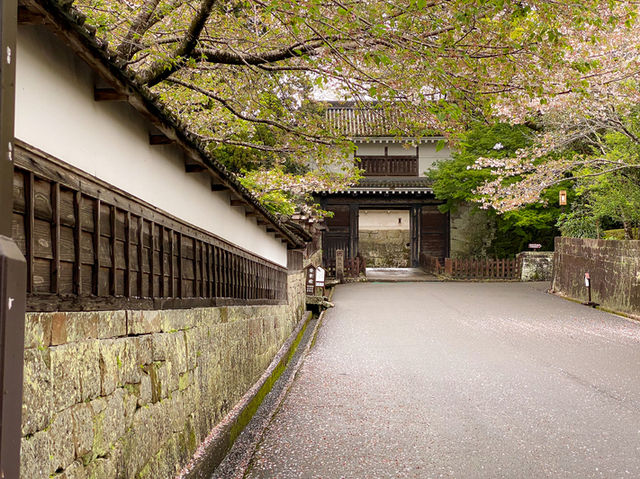【武家の町の歴史散歩🏯】飫肥城跡（おびじょうあと｜宮崎県日南市）