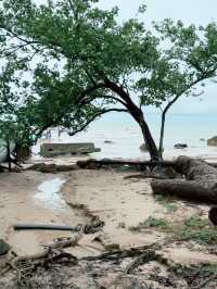 “Breeze, Bridge & Bliss: The Eco-Charm of Santubong Beach”