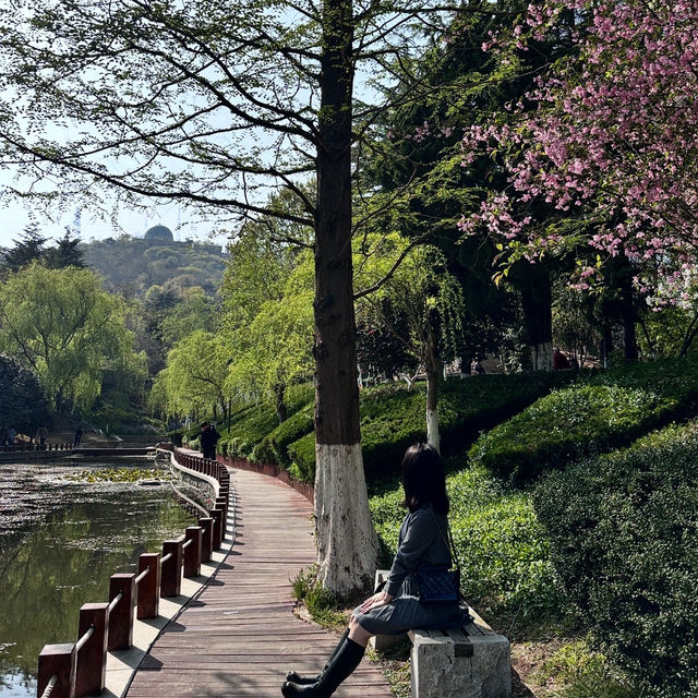 （青岛植物园）칭다오에도 봄이 왔어요🌸🌹🌷