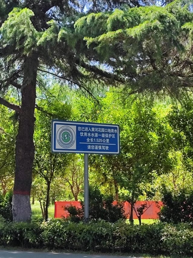 沈重歷史的黃河花園口 