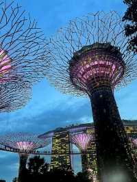 Futuristic Flora and Skyline Spectacle