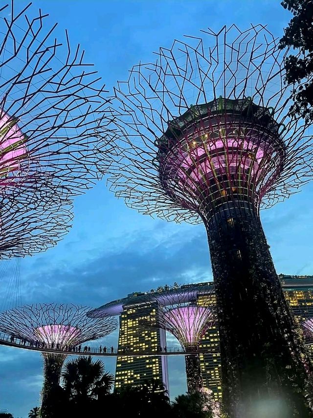 Futuristic Flora and Skyline Spectacle
