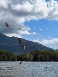 Kilim Geoforest Park Island Hopping: A Journey Through Langkawi’s Natural Wonders 