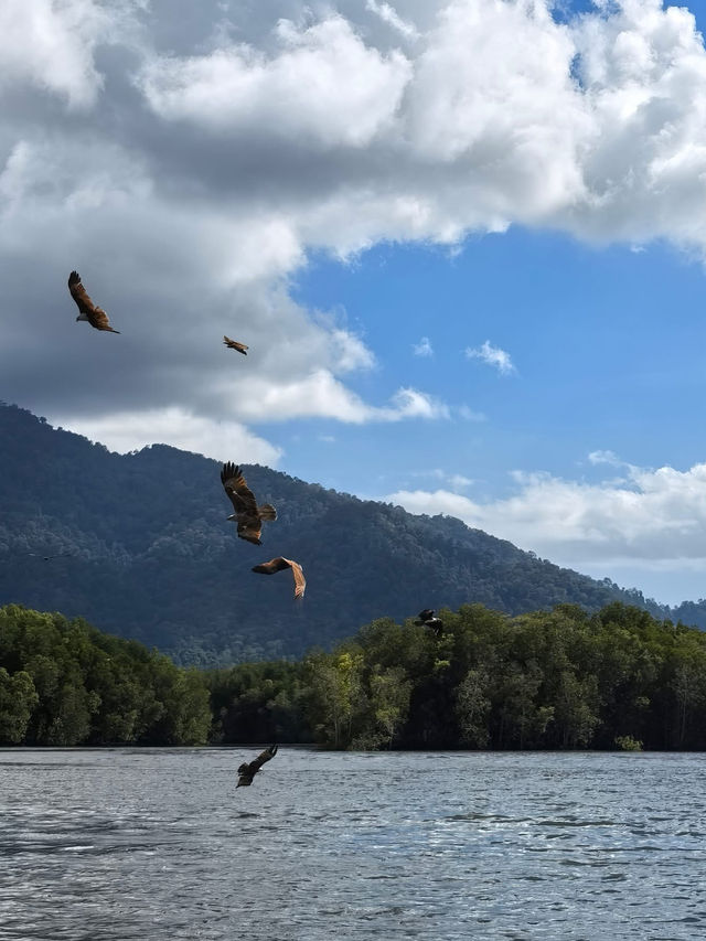Kilim Geoforest Park Island Hopping: A Journey Through Langkawi’s Natural Wonders 