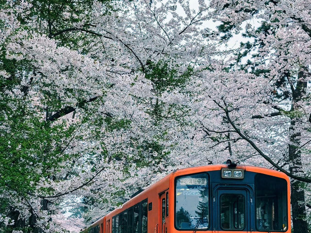 青森蘆野公園 - 日本文豪太宰治的童年足跡