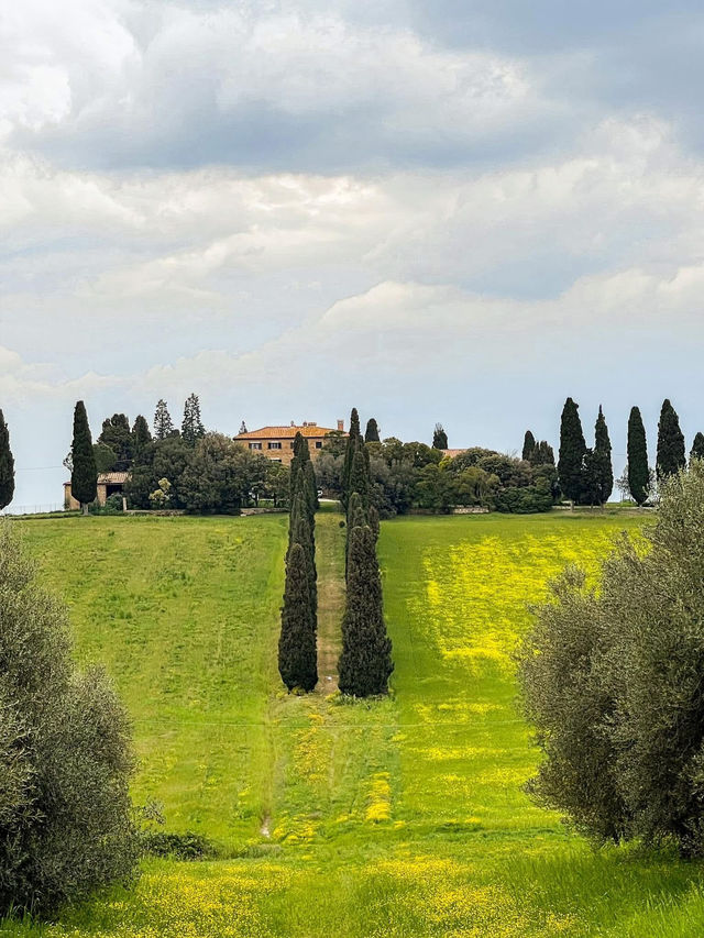 สัมผัสทุ่งหญ้าเขียวที่ ทัสคานี (Tuscany)