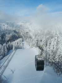 冬の高山❄️