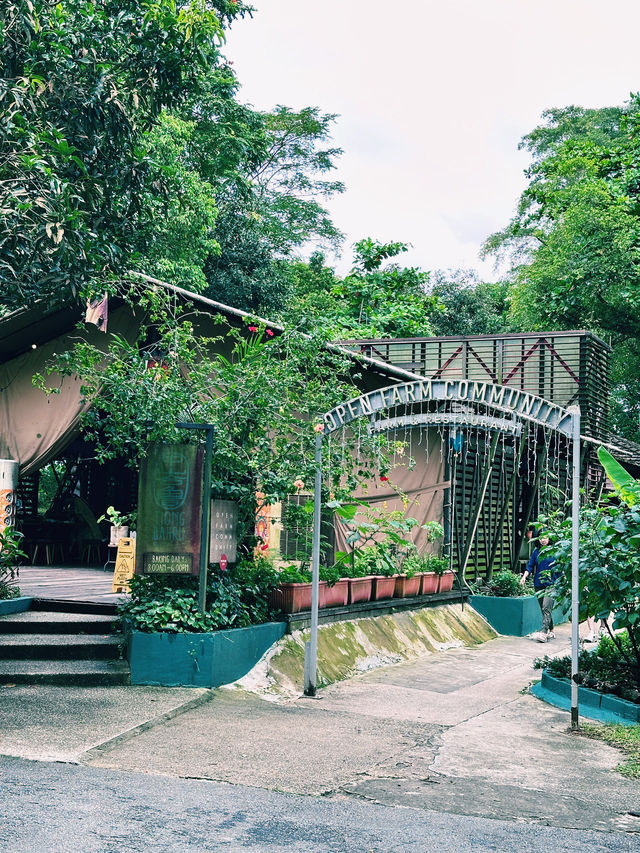 A Wholesome Weekend Brunch Escape at Open Farm Community 🌿🍽️