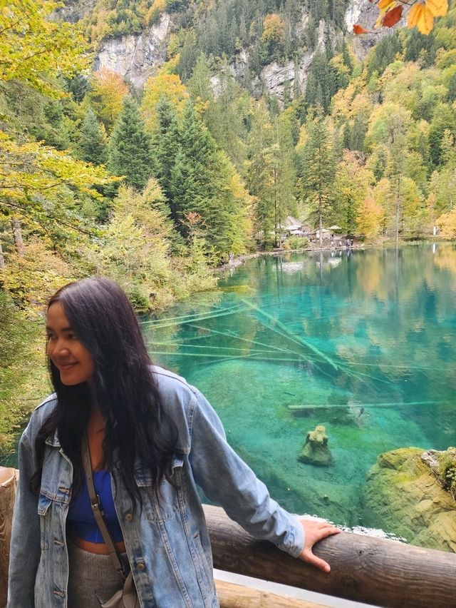 A Fairy Tale Forest Does exist!