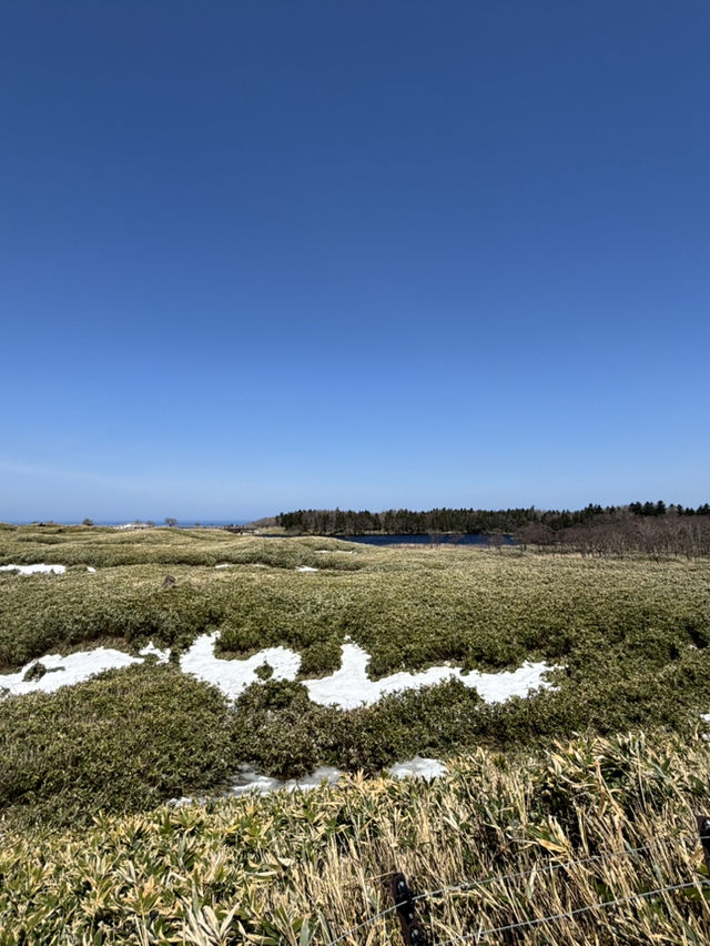 【世界遺産】知床五湖・高架木道で絶景散策！