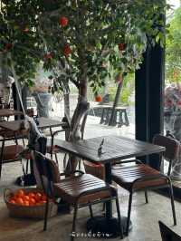KAYS Espresso Bar 