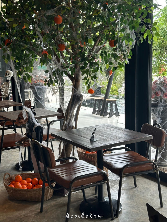 KAYS Espresso Bar 