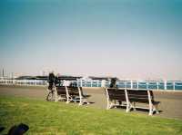 ท่าเรือโอชันบาชิ โยโกฮาม่า