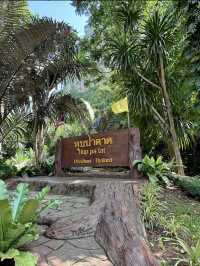 เที่ยวธรรมชาติสุดลึกลับ ที่ “หุบป่าตาด” 🌲