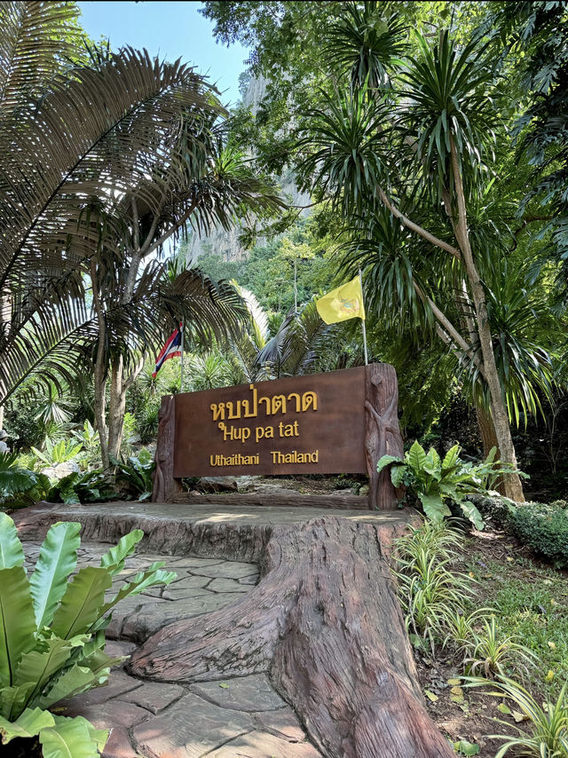 เที่ยวธรรมชาติสุดลึกลับ ที่ “หุบป่าตาด” 🌲