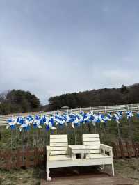 봄바람 맞기 좋은 평창 대관령목장😃