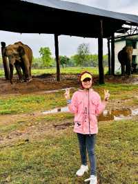 Into the Wild: A Magical Journey through Chitwan National Park