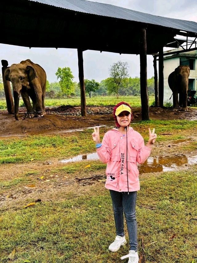 Into the Wild: A Magical Journey through Chitwan National Park