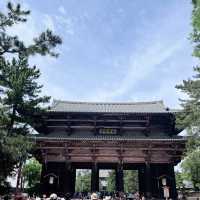 Meeting the Great Buddha: Todaiji